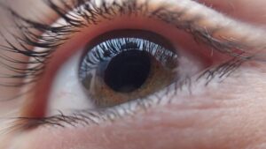 Do You Put Mascara on Top Or Both Lashes?