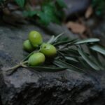 Is Olive Oil Good for Your Skin?