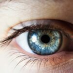 Does Brown Mascara Make Blue Eyes Pop?
