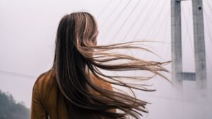 What is the Best Brush To Apply Dry Shampoo Powder?