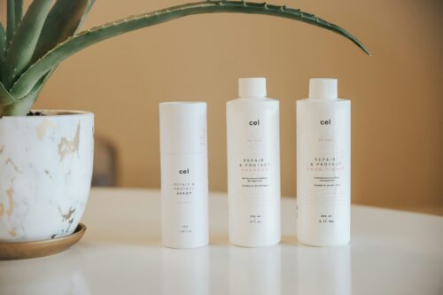 Should I Stop Using Shampoo if I Have Dry Scalp?
