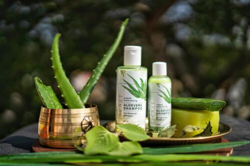 What Is a Good Shampoo Alternative for Dry Scalp?