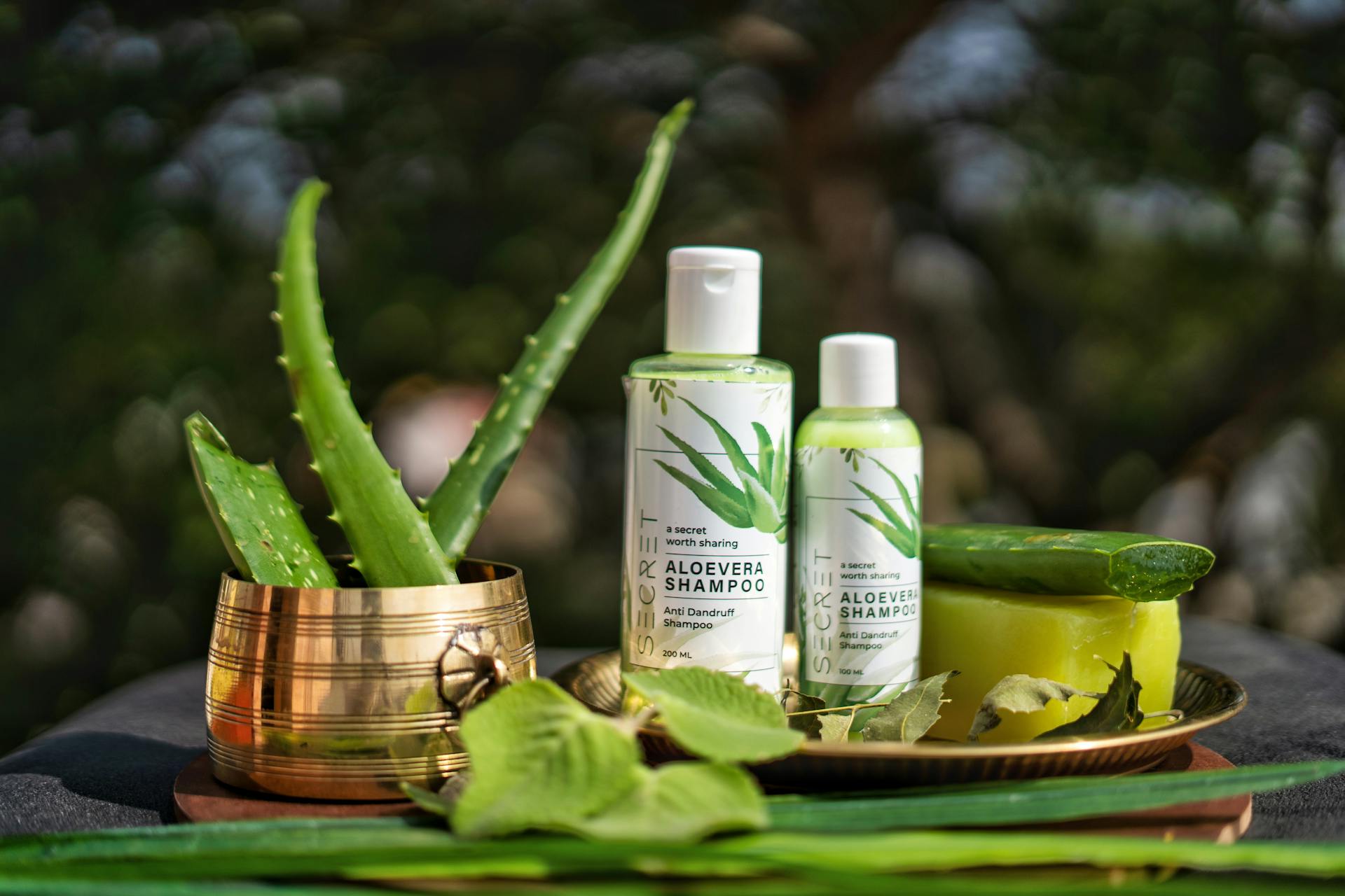 What Is a Good Shampoo Alternative for Dry Scalp?